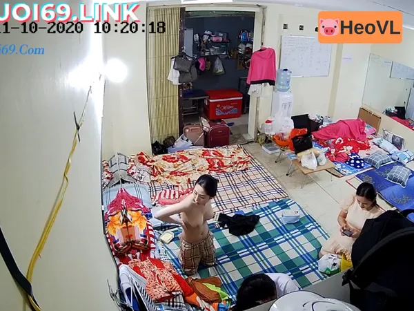 sex 3xchina Quay lén động nhền nhện tinh